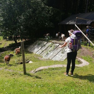 Soví výprava do Orlických hor
