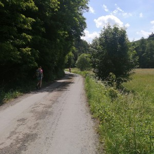 Soví výprava do Orlických hor