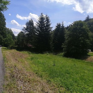 Soví výprava do Orlických hor