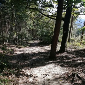 Soví výprava na Babí lom