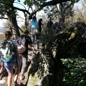 Soví výprava na Babí lom