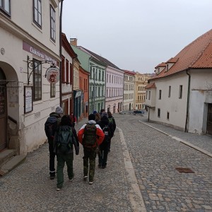 Sršni v údolí Rokytné