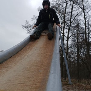 Sršni v údolí Rokytné