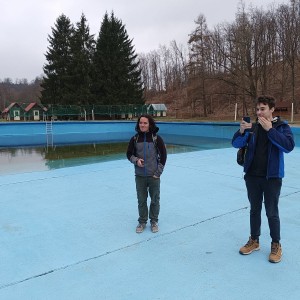 Sršni v údolí Rokytné