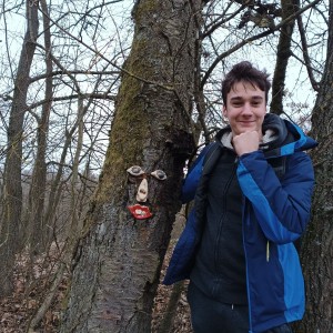 Sršni v údolí Rokytné