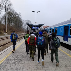Sršni v údolí Rokytné