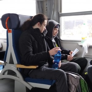 Sršni v údolí Rokytné