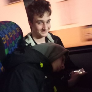 Sršni v údolí Rokytné