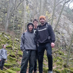 Sršni v údolí Rokytné