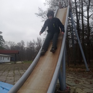 Sršni v údolí Rokytné