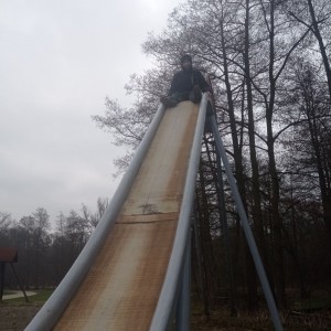 Sršni v údolí Rokytné