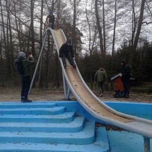 Sršni v údolí Rokytné