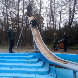 Sršni v údolí Rokytné