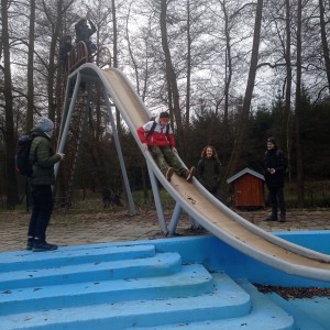 Sršni v údolí Rokytné