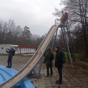 Sršni v údolí Rokytné