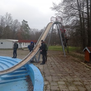 Sršni v údolí Rokytné