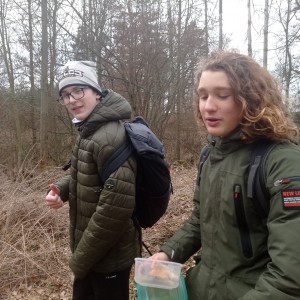 Sršni v údolí Rokytné