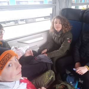 Sršni v údolí Rokytné