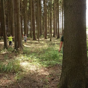Tábor 13. den 2024