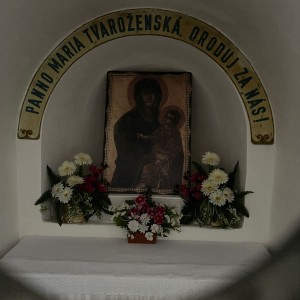 Tučňáčí dvojakce