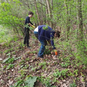 Ukliďme Česko, Šlapanice a Kobylnice 6. 4. 2024