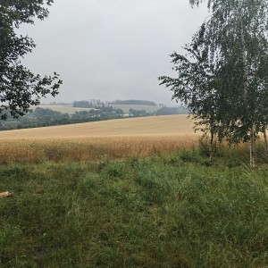 Vlčí puťák 2024