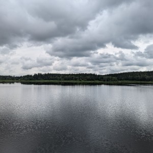 Vlčí puťák 2024