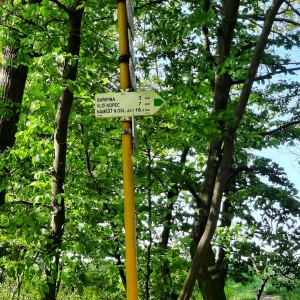 Vlčí výprava na Ketkovák