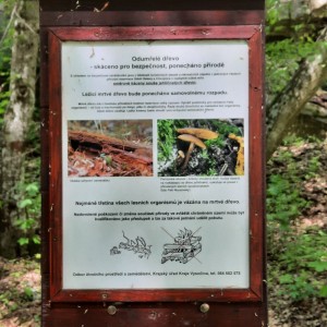 Vlčí výprava na Ketkovák