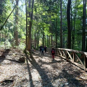 Výprava Havranů do údolí Punkvy