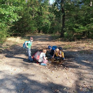 Výprava Havranů do údolí Punkvy