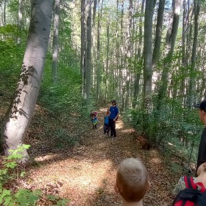 Výprava Havranů do údolí Punkvy