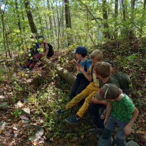 Výprava Havranů do údolí Punkvy