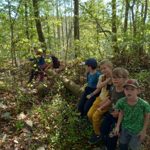 Výprava Havranů do údolí Punkvy