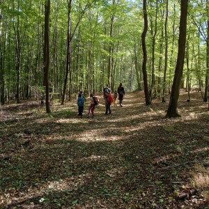 Výprava Havranů do údolí Punkvy