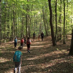 Výprava Havranů do údolí Punkvy