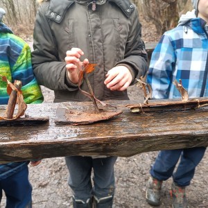 Výprava Havranů na zříceninu Obřany