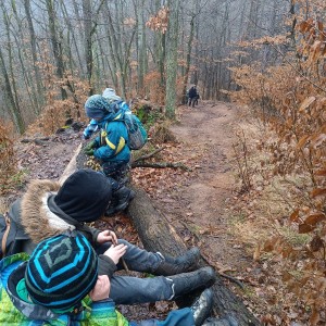 Výprava Havranů na zříceninu Obřany