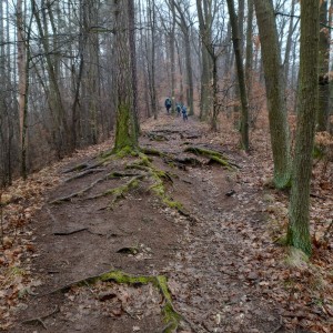 Výprava Havranů na zříceninu Obřany