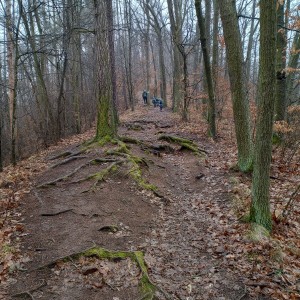 Výprava Havranů na zříceninu Obřany