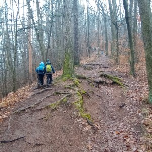 Výprava Havranů na zříceninu Obřany