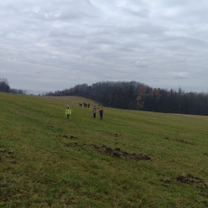 Výprava Sokolů a Pand na rozhlednu Panorama