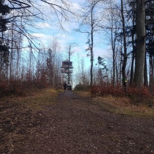 Výprava Sokolů a Pand na rozhlednu Panorama