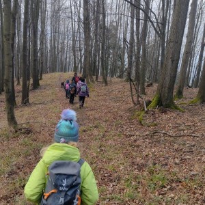 Výprava Sokolů a Pand na rozhlednu Panorama