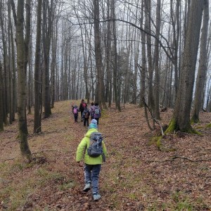 Výprava Sokolů a Pand na rozhlednu Panorama