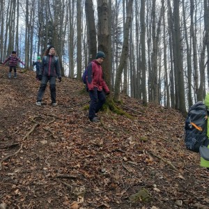 Výprava Sokolů a Pand na rozhlednu Panorama