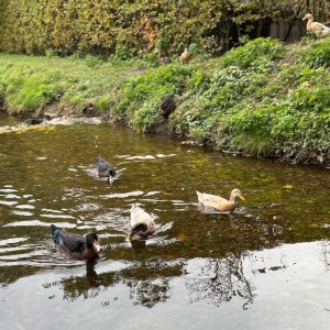 Výprava Rybek do Mariánského údolí