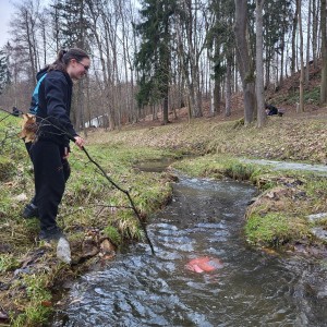 Zimní celooddílová výprava do Havlíčkova Brodu