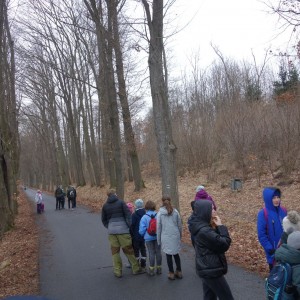 Zimní celooddílová výprava do Havlíčkova Brodu