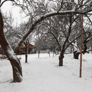 Žraločí předvánoční bowling 8.-9.12.